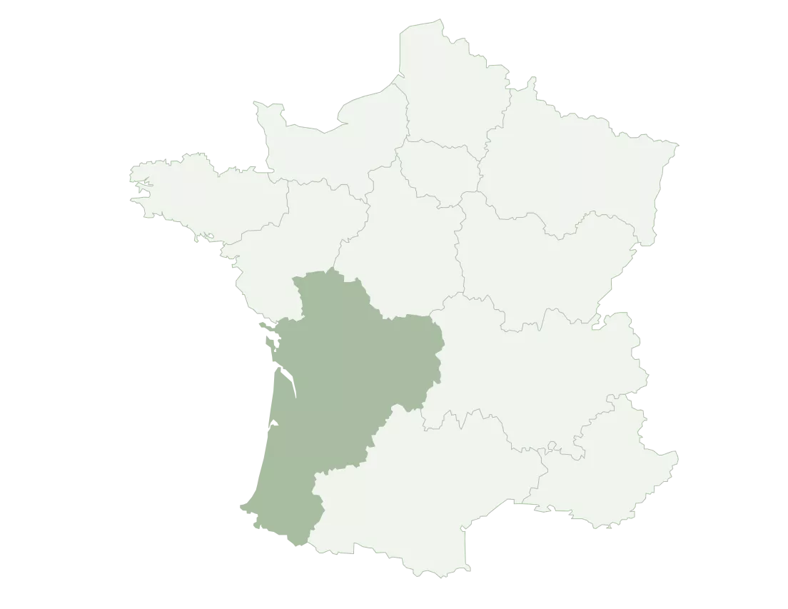 Bordeaux / Pessac Léognan